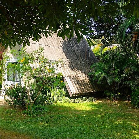 קו לנטה Cashewnut Tree Resort מראה חיצוני תמונה