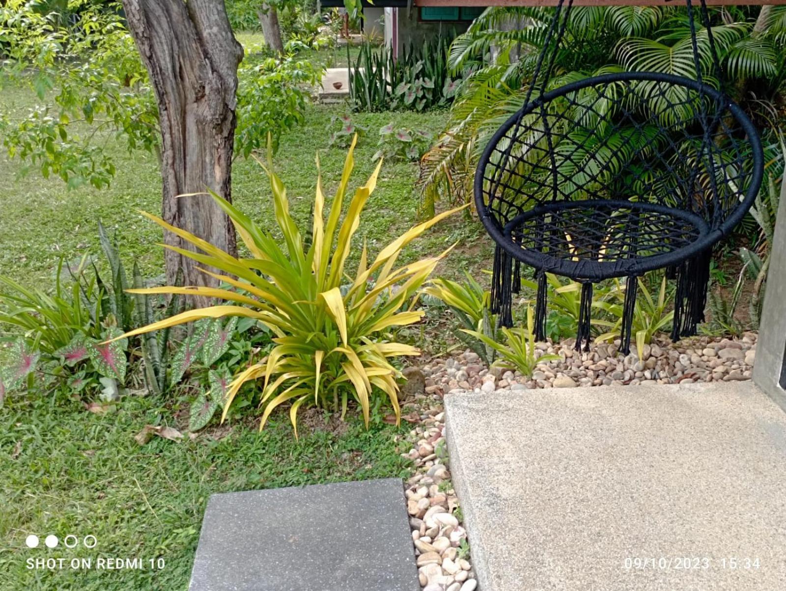 קו לנטה Cashewnut Tree Resort מראה חיצוני תמונה