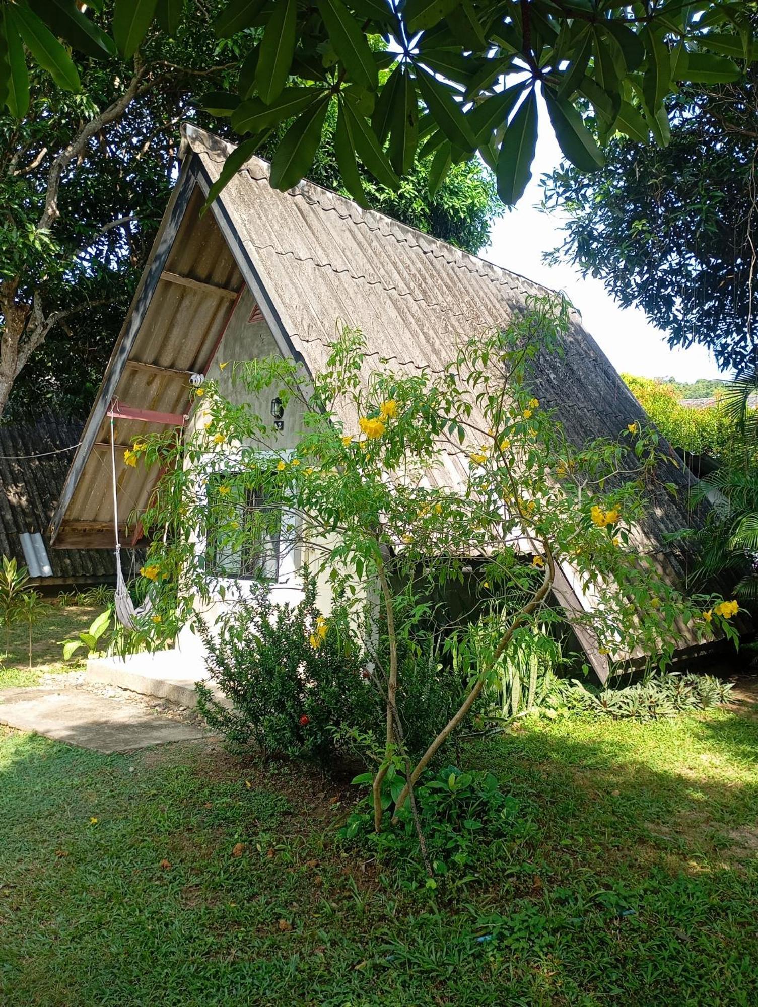 קו לנטה Cashewnut Tree Resort מראה חיצוני תמונה